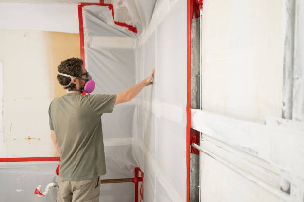 Best Mold-Related Health Consultation  in Cottageville, SC