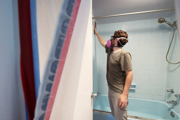 Best Mold Damage Restoration  in Cottageville, SC