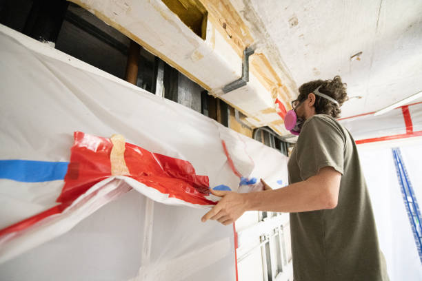 Best Emergency Mold Remediation  in Cottageville, SC