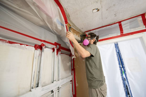 Best Comprehensive Air Testing for Mold Contaminants  in Cottageville, SC