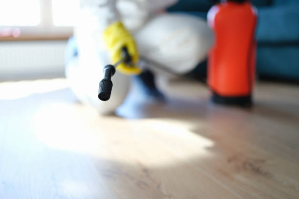Best Commercial Mold Inspection  in Cottageville, SC